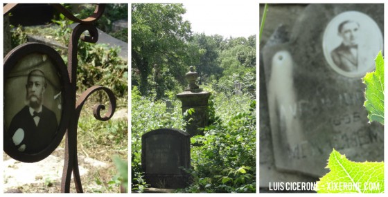 Jewish Cemetery Bucharest