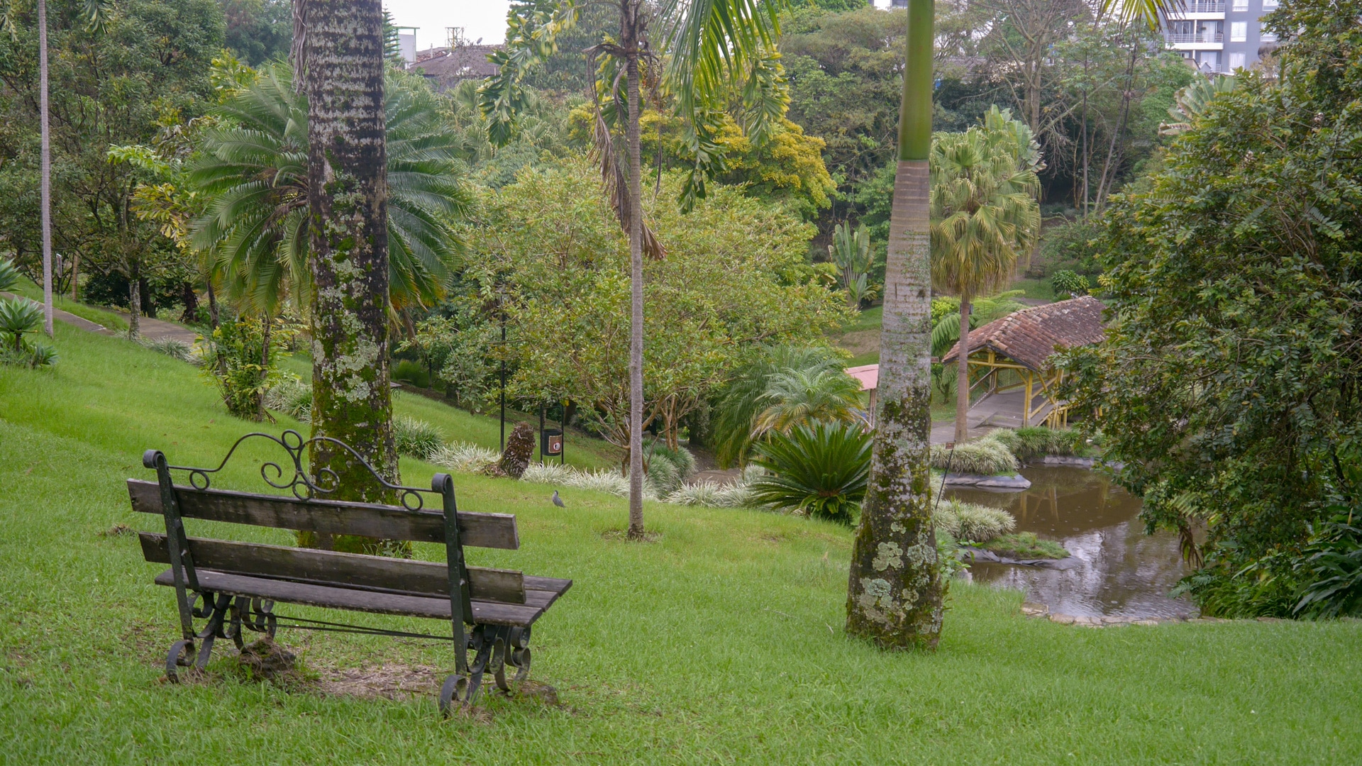 Parque de la Vida is one of the most beautiful parks in Armenia