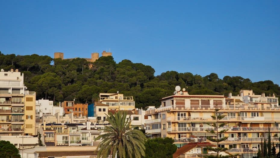 Tradicionalment conegut com a barri d'artistes, El Terreno ofereix una barreja de tranquil·les zones residencials i vibrant vida nocturna. Situat en un turó amb vistes a la badia, ofereix vistes impressionants de la ciutat.