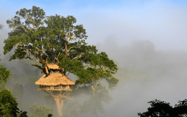 Reserva Natural de Bokeo, Laos