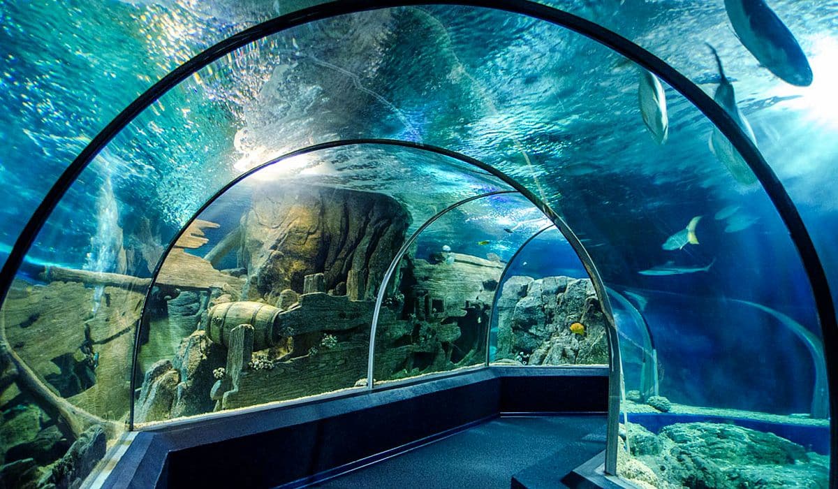 Mejores zonas donde alojarse en Sochi - Cerca del Discovery World Aquarium