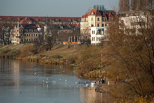 Best areas to stay in Dresden - Pieschen
