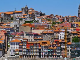 Dónde alojarse en Oporto - Mejores zonas y hoteles