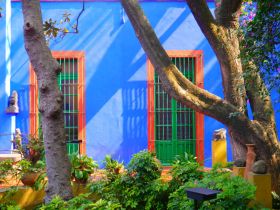 Visita La Casa Azul (Museu de Frida Kahlo) a Ciutat de Mèxic