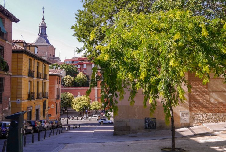 Les millors visites guiades i tours a Madrid que no et pots perdre