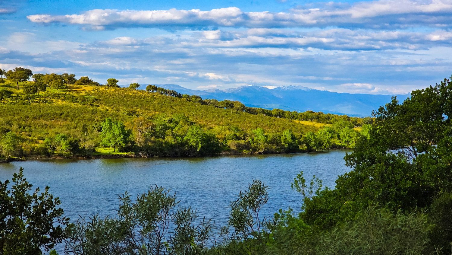 Consells essencials per visitar el Parc Nacional de Monfragüe