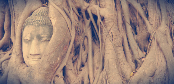 Ayutthaya - Buddha's head