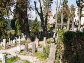 Exploring the Saxon Cemetery in Sighisoara, Romania