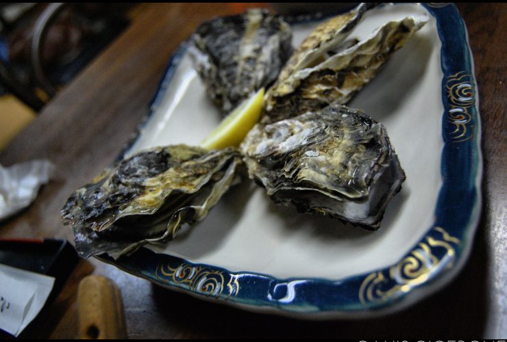 Oysters in Japan