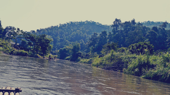 Slow Bamboo Rafting