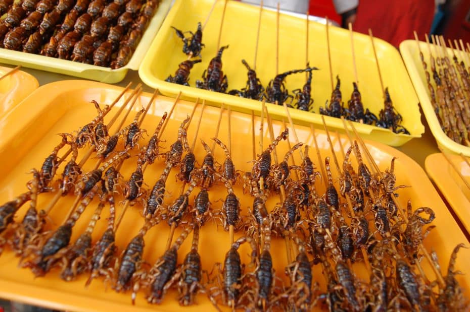 Sabrosas criaturas en un mercado chino