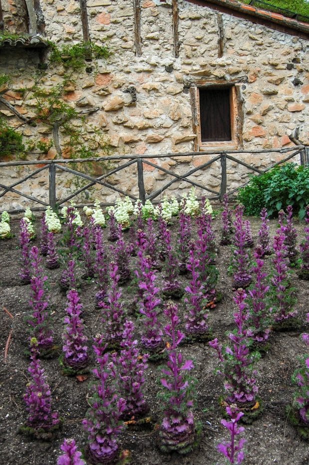 The peasant house's vegetable garden