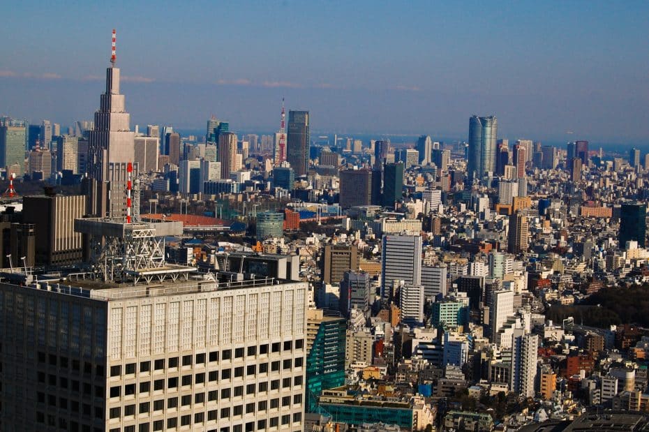 View from the Metropolitan Government Building in Tokyo
