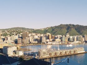 Best Areas to Stay in Wellington, NZ