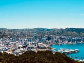 Discover the best suburbs to stay in Wellington