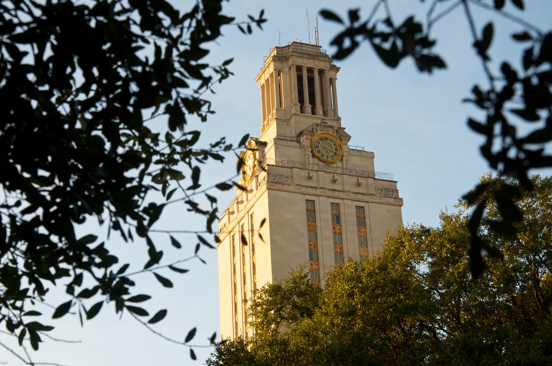Situata a nord del centro di Austin e sede dell'Università del Texas, Central North Austin è una zona ideale per chi cerca un'area relativamente tranquilla e vicina a tutto.