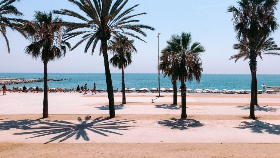 Barceloneta is famous for its beaches and seaside promenade