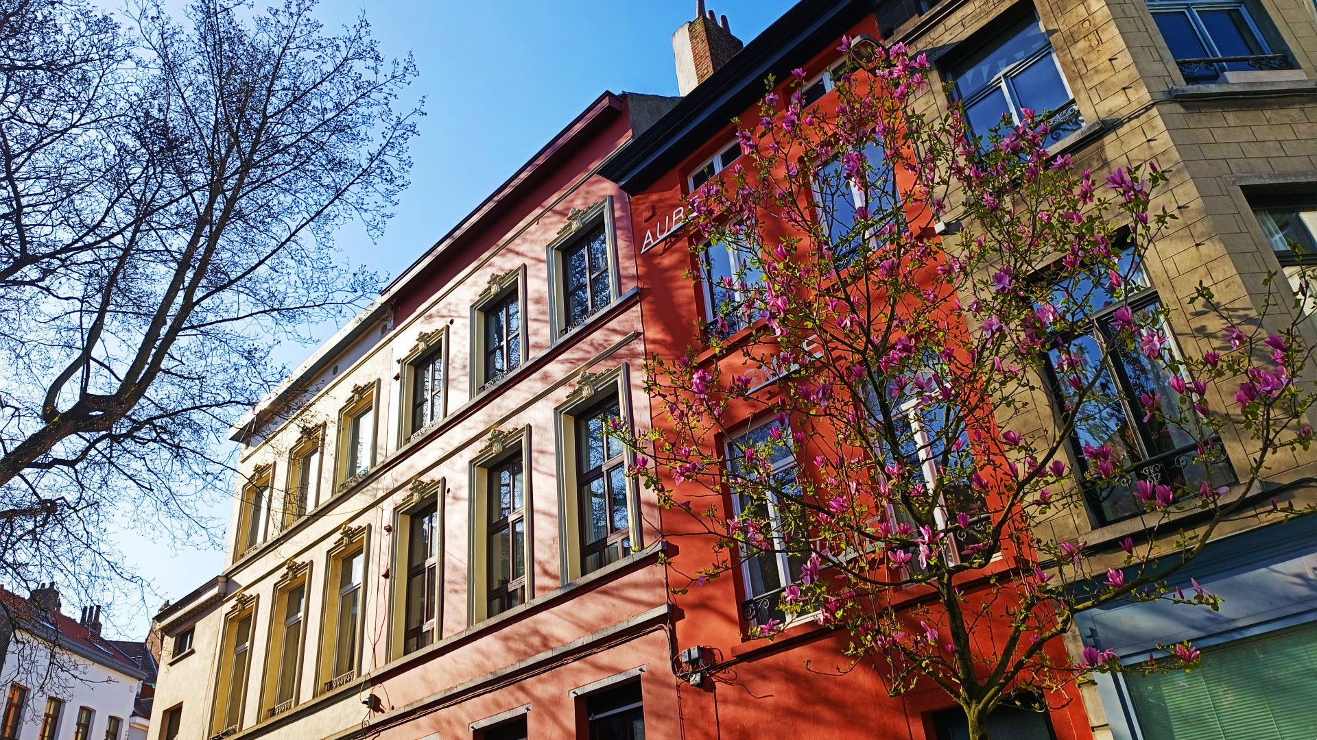 Located south of the city centre, Ixelles is one of the best districts for tourists in Brussels