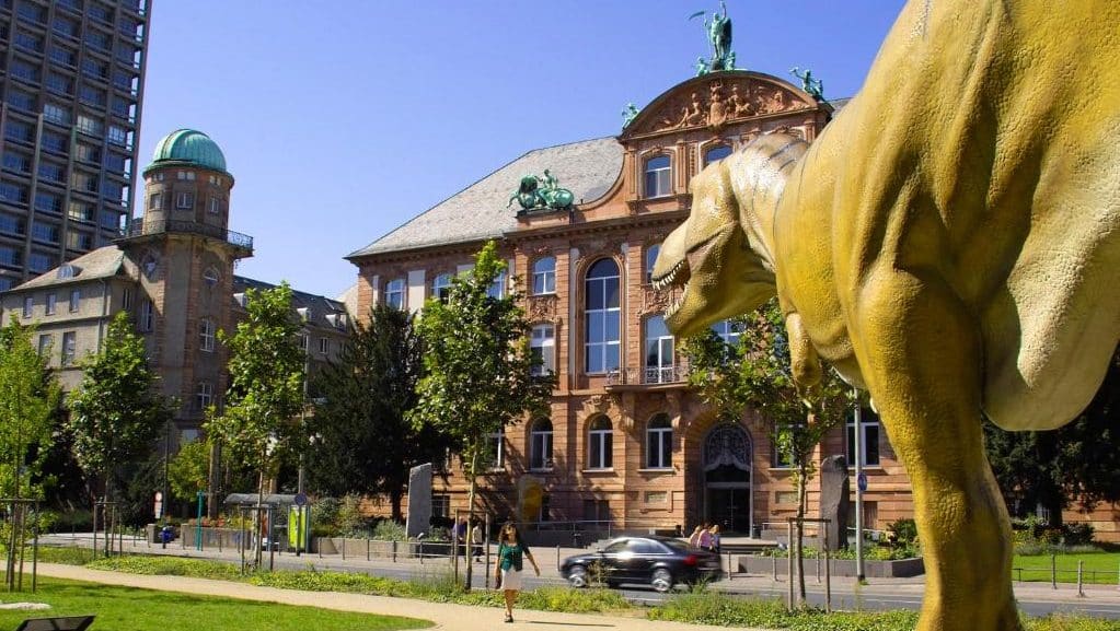 The Senckenberg Museum of Natural History makes Westend a great option for families