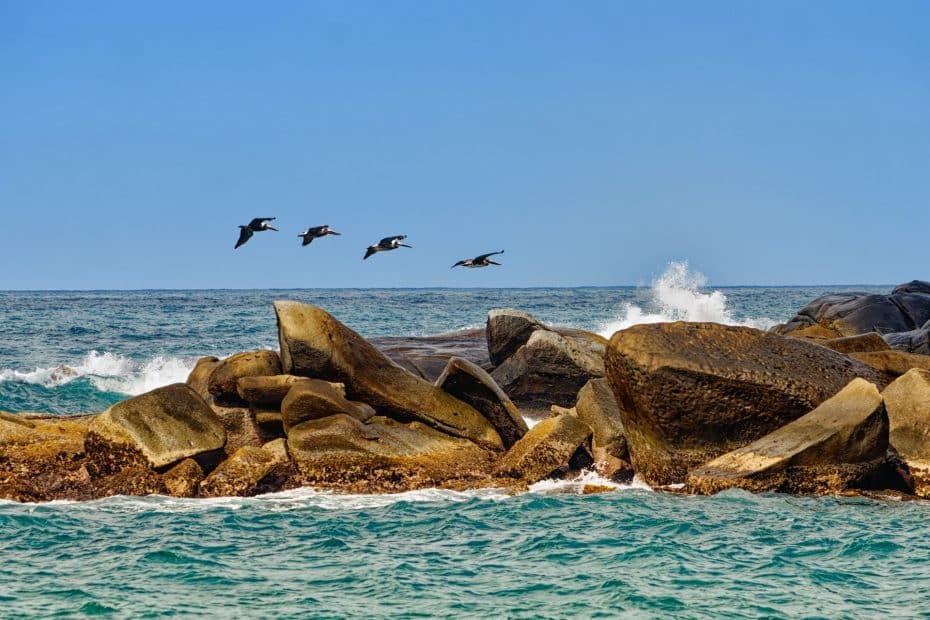 El Parque Nacional Tayrona es uno de los destinos turísticos más populares de Colombia