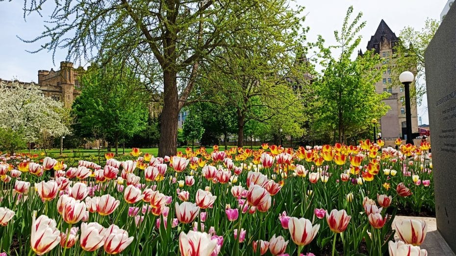 Places like Major's Hill Park make the Lower Town one of the best areas for tourists in Ottawa