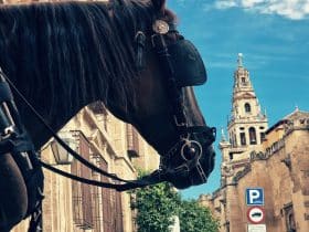 Top Things to See & Do in Córdoba, Spain