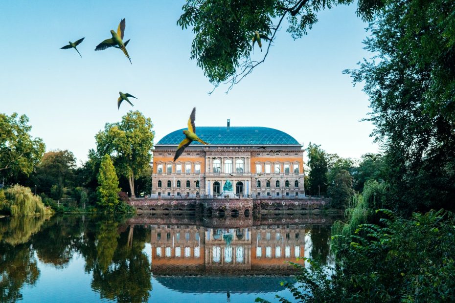 Con un'ottima posizione centrale e molte attrazioni, Stadtmitte è la zona migliore per i turisti di Düsseldorf. Il miglior hotel in questa zona è Breidenbacher Hof.