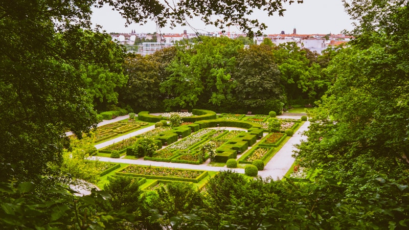 Jardí de roses al Parc Humboldthain, Gesundbrunnen