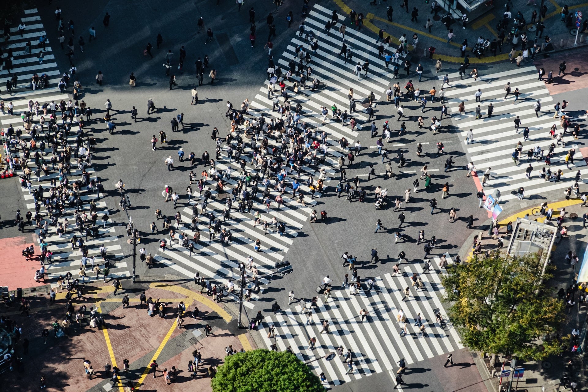 Famous for its iconic pedestrian crossing, Shibuya is one of Tokyo's most exciting areas
