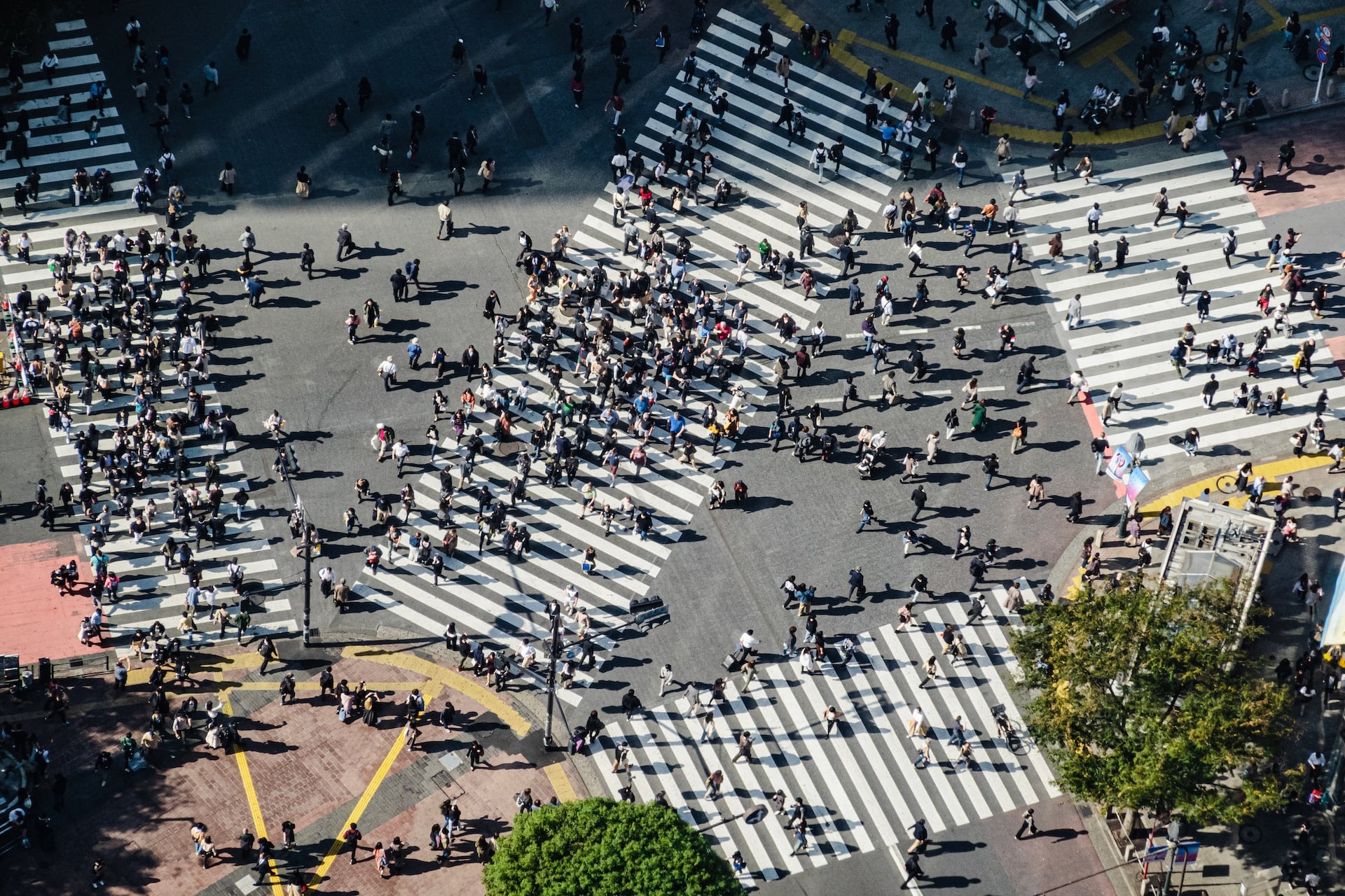 Famosa pel seu emblemàtic pas de vianants, Shibuya és una de les zones més emocionants de Tòquio.