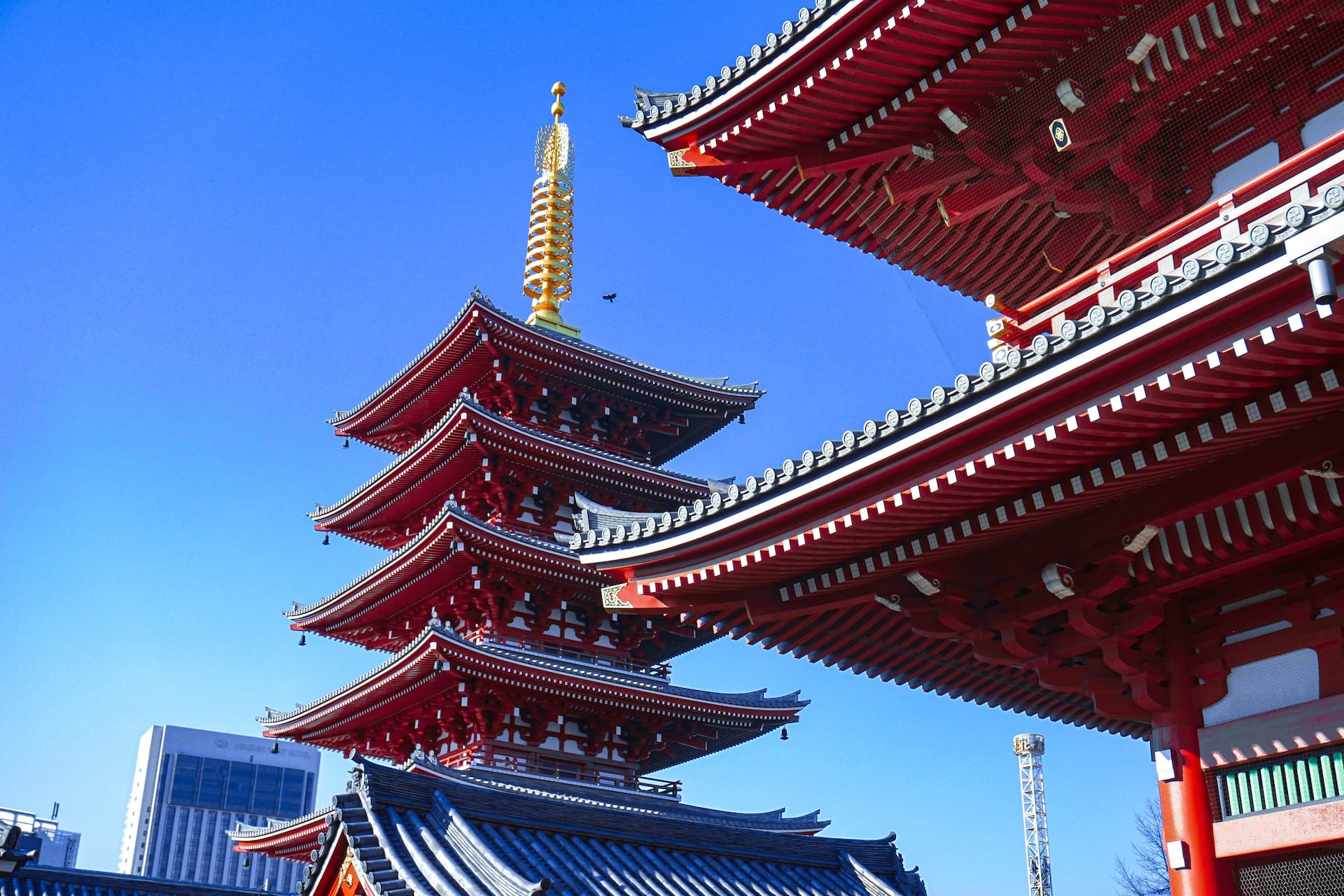 Taito alberga algunos de los barrios y atracciones más históricos de Tokio y es una zona ideal para quienes visitan la metrópolis por primera vez.