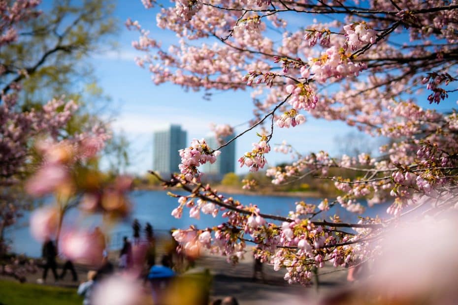 High Park - Places to visit in Toronto