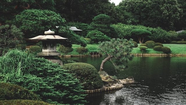 Shinjuku Gyoen National Garden, Tokyo