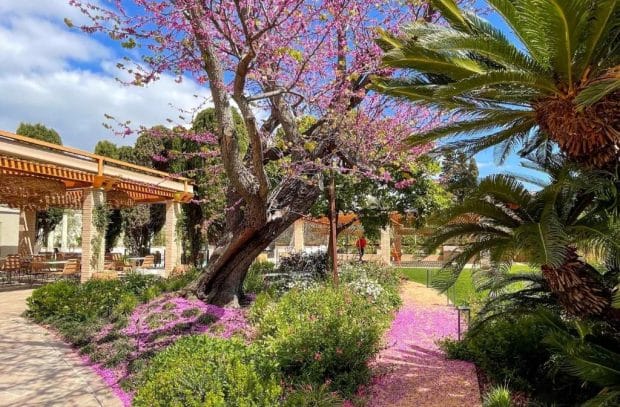 Hotel Boutique Mirlo Barcelona - Garden