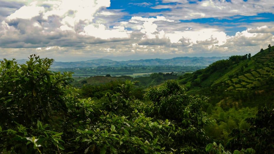 Qué ver en Armenia, Colombia