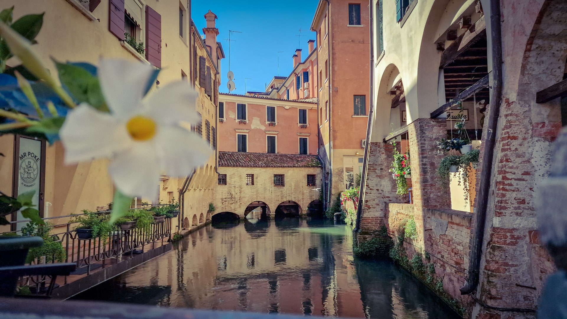 El casco antiguo de Treviso es una zona encantadora y pintoresca, perfecta para quienes deseen explorar el lado histórico de la ciudad