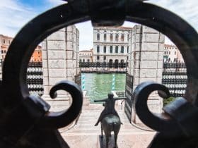 View of the Grand Canal from the Peggy Guggenheim Collection museum in Venice
