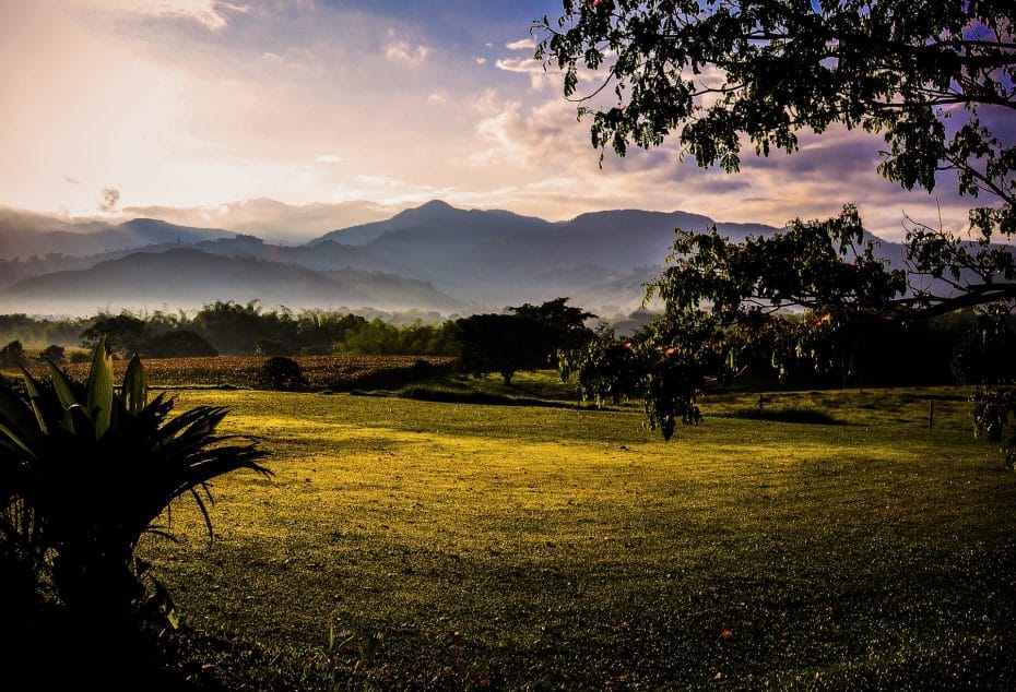 Armenia is one of the cities in Colombia's Coffee Triangle