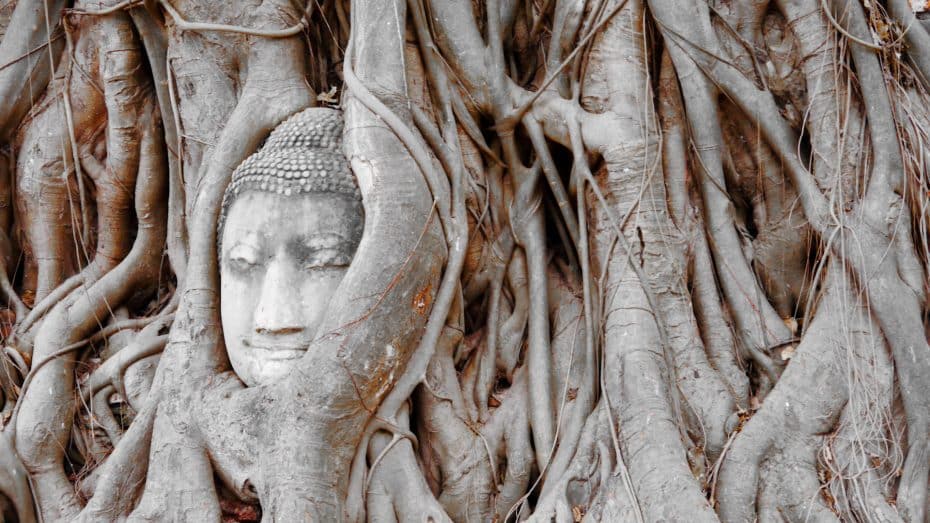 El Parque Histórico de Ayutthaya alberga algunos de los templos históricos tailandeses más impresionantes