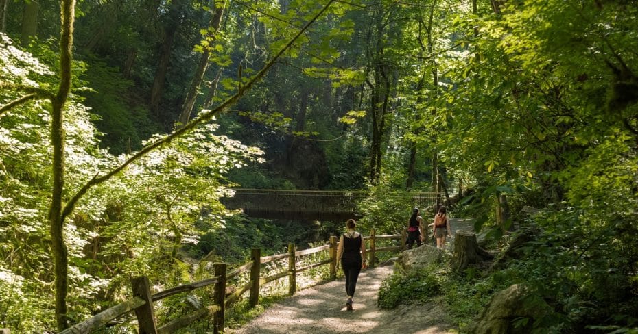 Forest Park - Atracciones de Portland