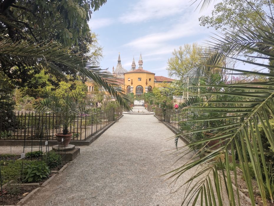 Orto Botanico - Principales atracciones de Padua