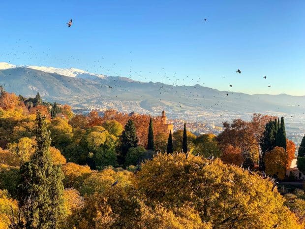 Spain in Autumn: Must-Visit Destinations to See the Leaves Change