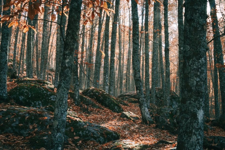 Spain in Autumn