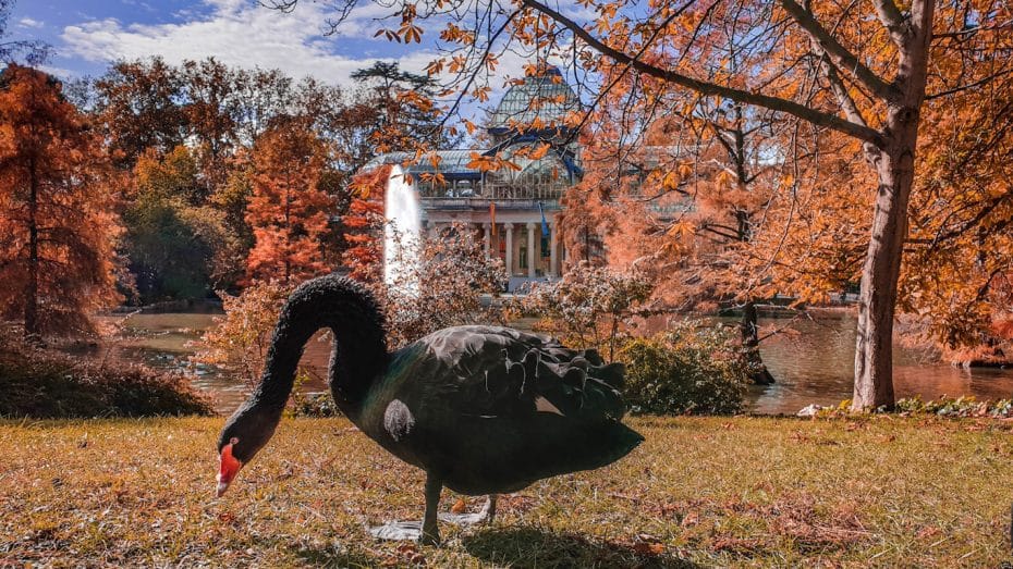 Qué ver en un primer viaje a Madrid - El Retiro