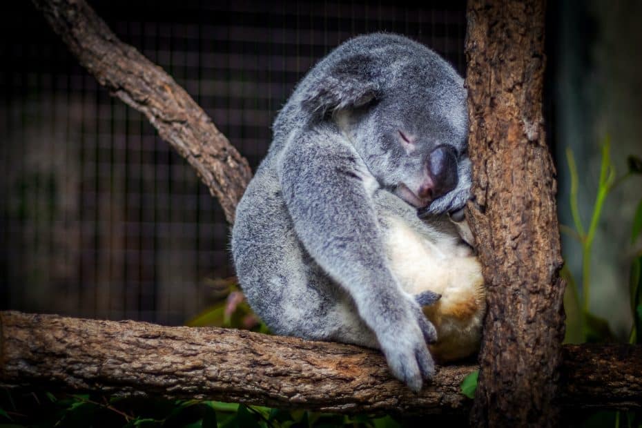 Consejos y trucos para superar el jet lag