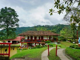 Where to Stay in Armenia, Colombia: Best Areas & Hotels