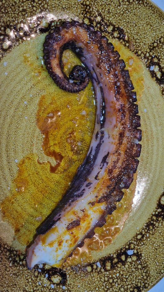 Mouthwatering grilled octopus at PUB Galería, Elche de la Sierra, province of Albacete