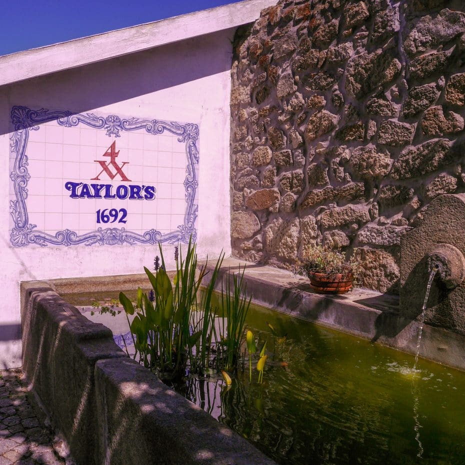 Visita guiada al vino de Oporto de Taylors