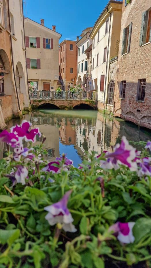 Canales de Treviso