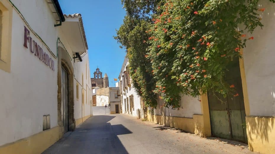 Jerez de la Frontera, Cádiz, Andalucía